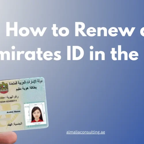 Home How to Renew an Emirates ID in the UAE – Complete Guide 2025