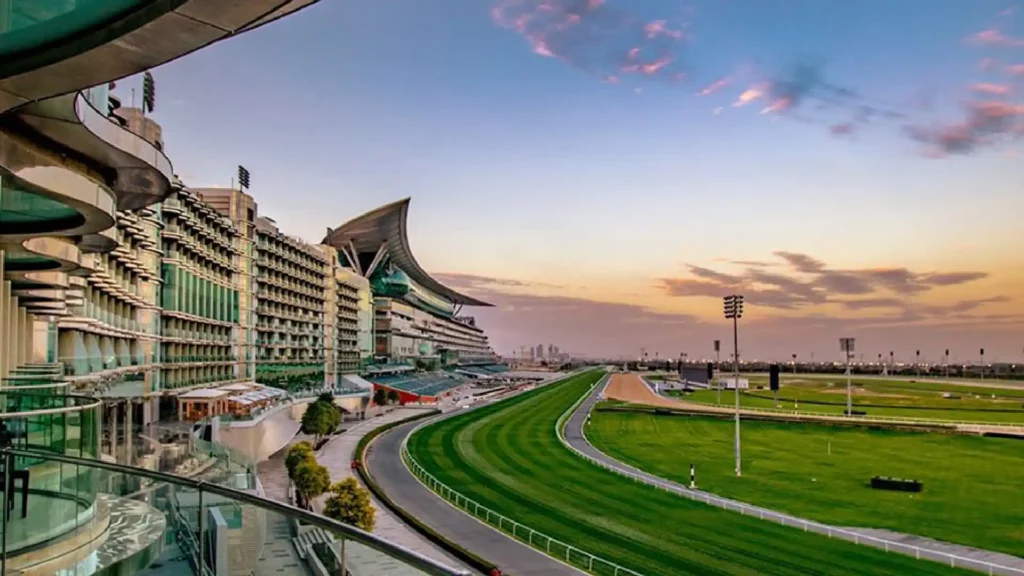 6854ee0a0c7d772e0f3f2aa2 meydan free zone business setup